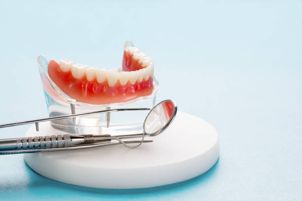 Trusted Reed City, MI Holistic Dental Care Services Experts